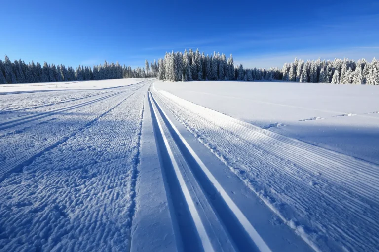 Winter landscape and trails for skiers