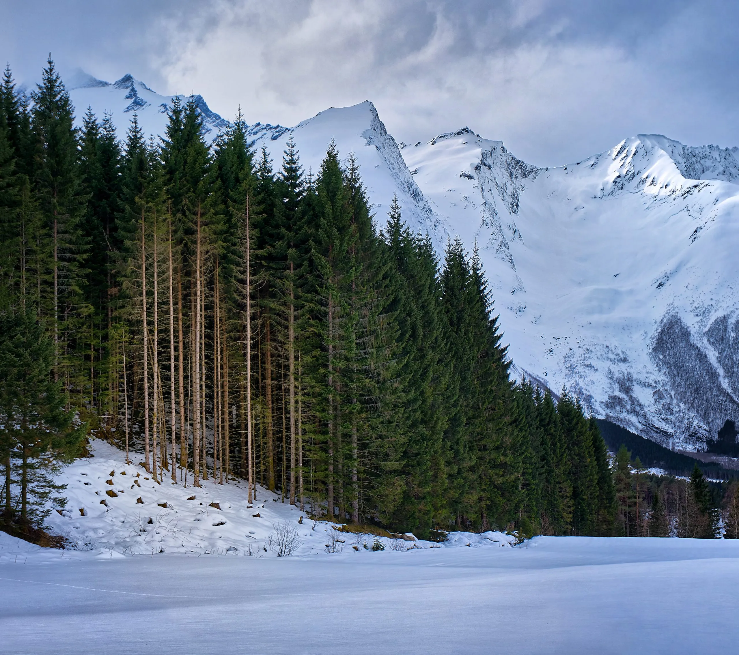 Featured Image